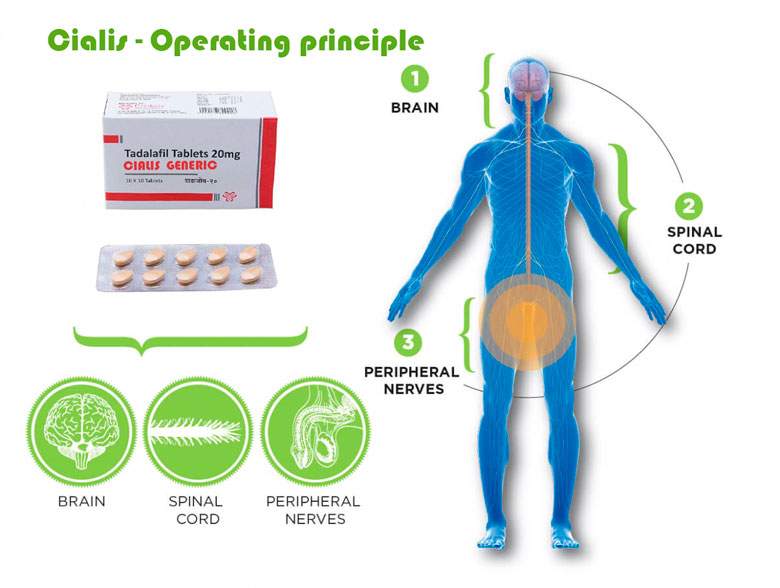 Что такое Сиалис Что такое Сиалис