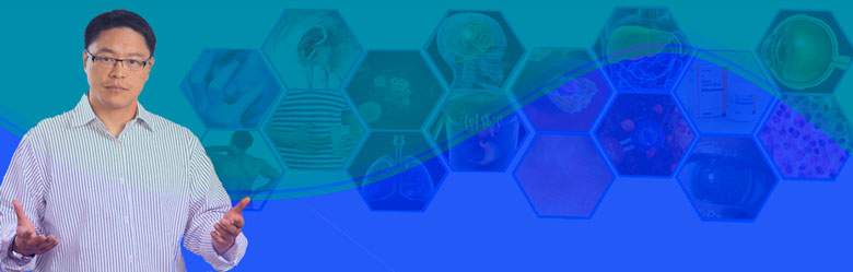 Противопоказания Виагра Противоказания Виагра