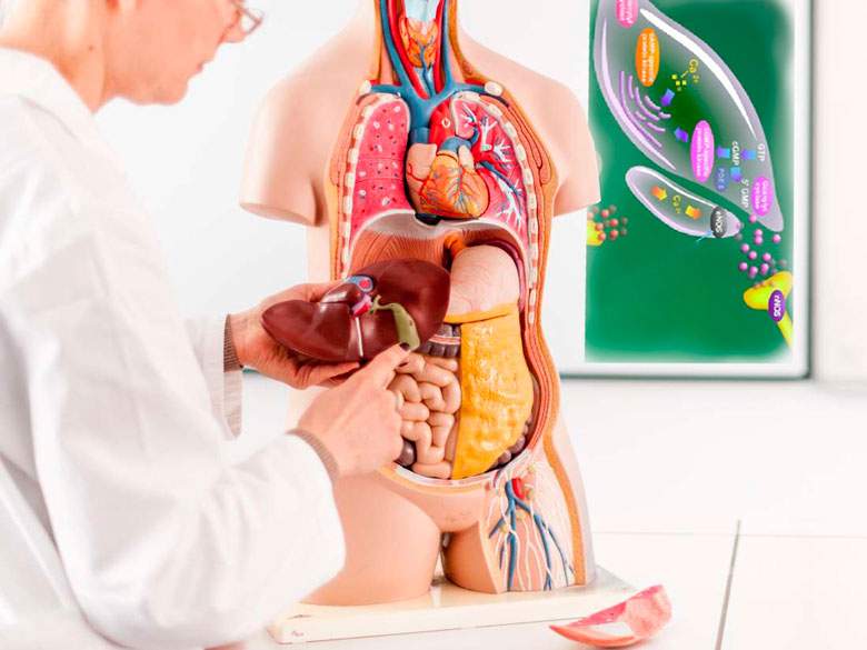 почему силденафил не помогает почему силденафил не помогает