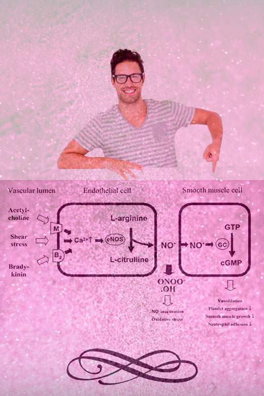 Как действует силденафил Как действует силденафил