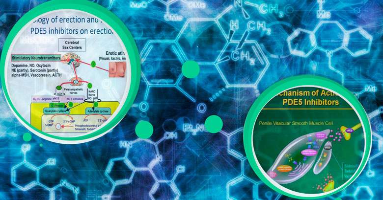 виагра и алкоголь совместимость виагра и алкоголь совместимость