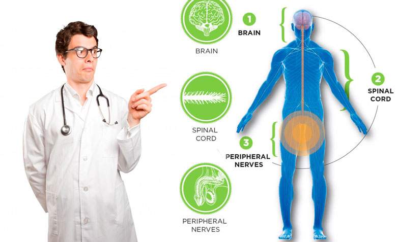 что за лекарство дапоксетин что за лекарство дапоксетин